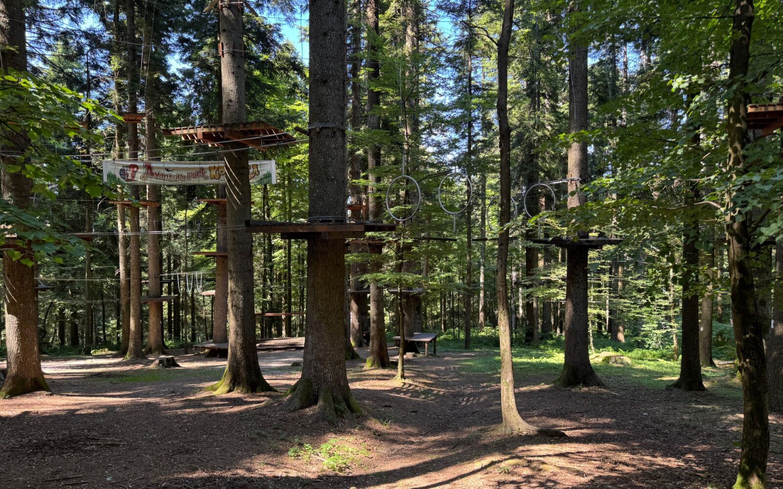 Park linowy – co warto wiedzieć i jak przygotować się do pierwszej wizyty?