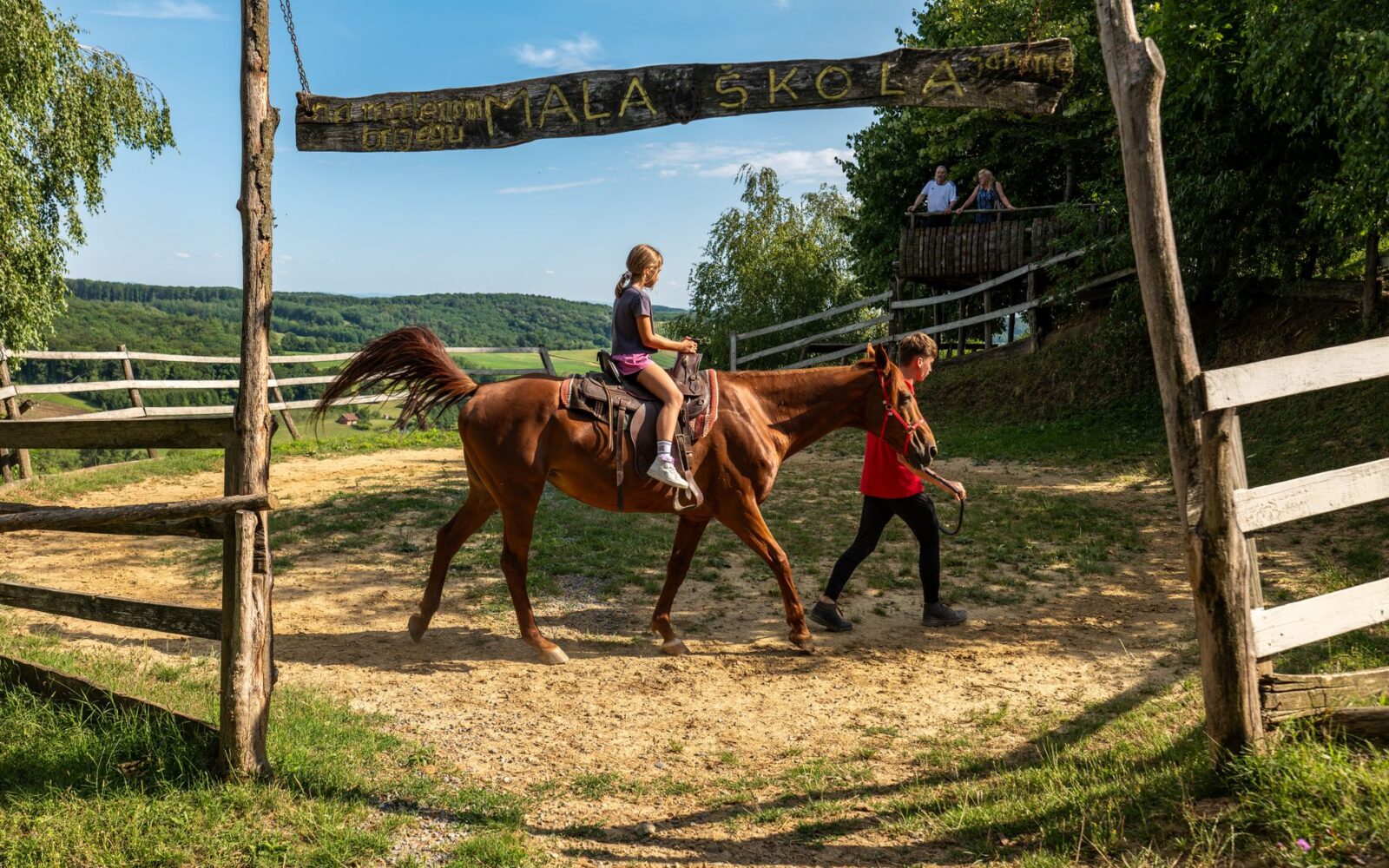 Prezent dla miłośników koni – co kupić koniarzom? Sprawdzone pomysły